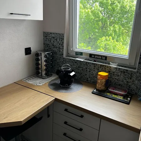 公寓 Zielonemistrzejowice